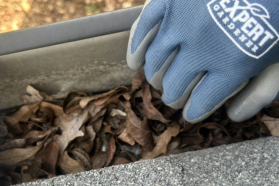 Gutter Cleaning Holly Grove