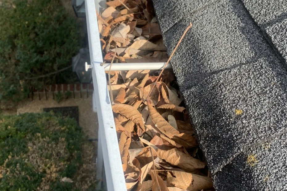 Gutter Cleaning Holly Grove