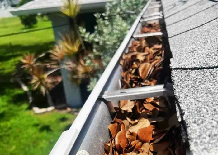 Gutter Cleaning Holly Grove home page